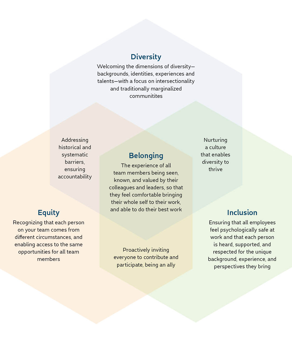DEI Venn Diagram from bluebeyondconsulting